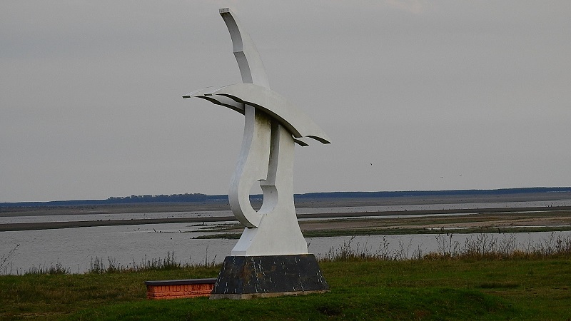 Slide Image